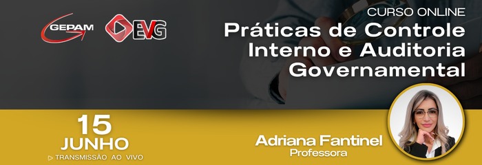 Curso Online - Práticas de Controle Interno e Auditoria Governamental